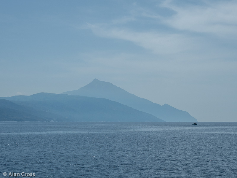 18 May: OLYMPUS DIGITAL CAMERA