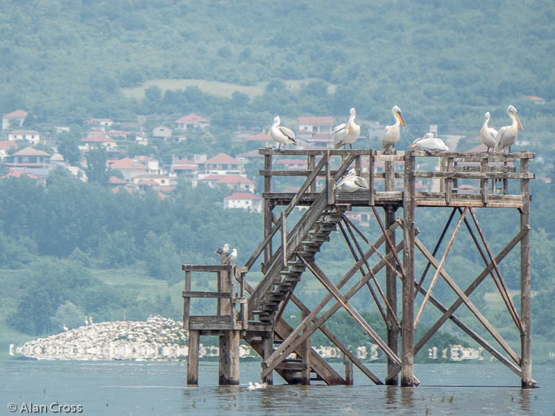 19 May: OLYMPUS DIGITAL CAMERA