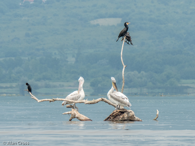 19 May: OLYMPUS DIGITAL CAMERA