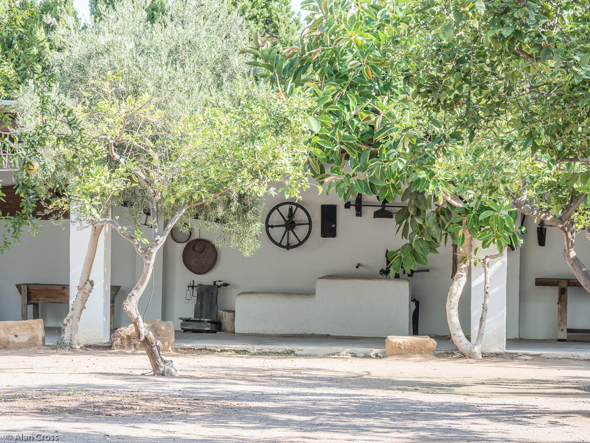 La alquería del Magistre, where they make the horchata drink from tiger nuts