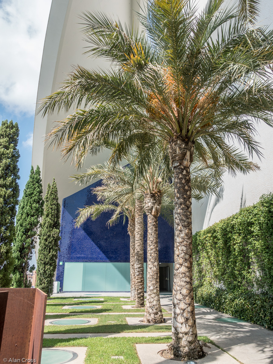 A guided tour of the Palau de les Arts